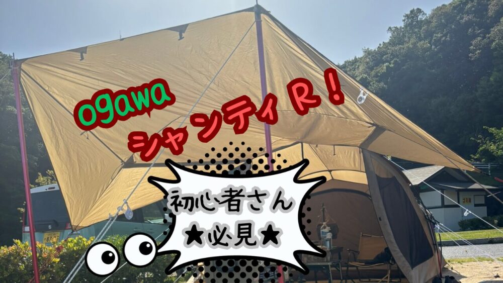 アイキャッチ使用(シャンティＲ)